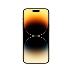 Apple iPhone 14 Pro Max nano SIM+nano SIM 1024GB, золотой— фото №1