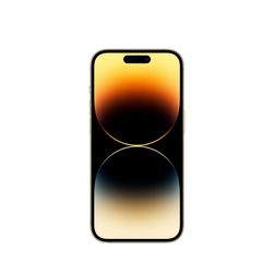 Apple iPhone 14 Pro nano SIM+eSIM 256GB, золотой— фото №1